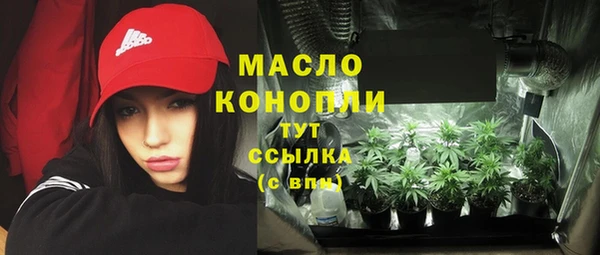 ECSTASY Богородицк