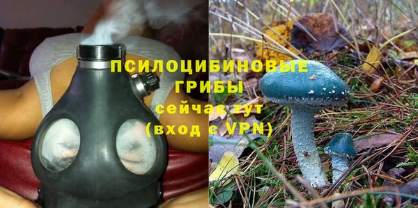 стафф Богородск