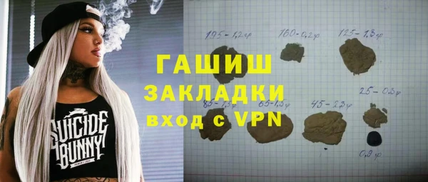 хмурый Бородино
