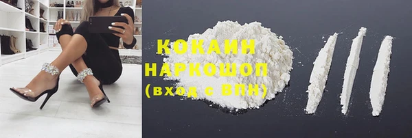 хмурый Бородино
