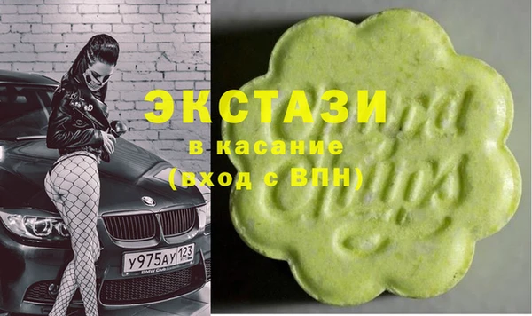 ECSTASY Богородицк