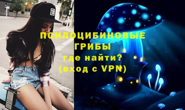 хмурый Бородино
