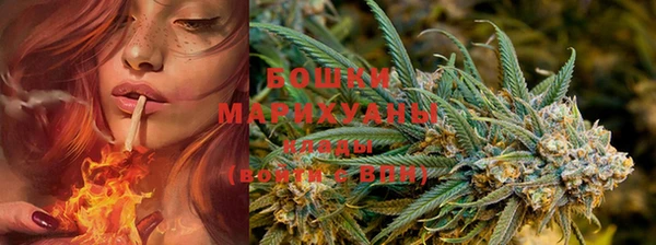 ECSTASY Богородицк