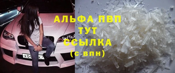 хмурый Бородино
