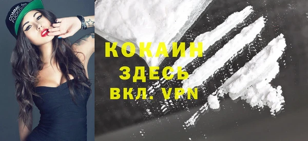 хмурый Бородино