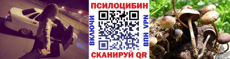 Купить  Пионерский  Галлюциногенные грибы Cubensis 